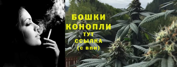 прущие грибы Карпинск