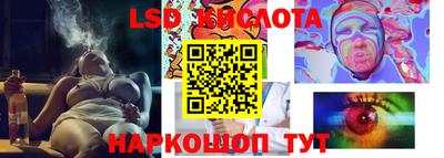 гидра Долгопрудный