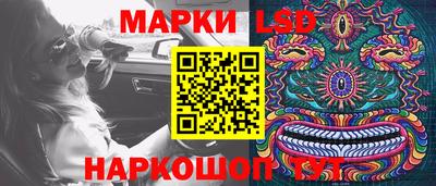 гидра Долгопрудный