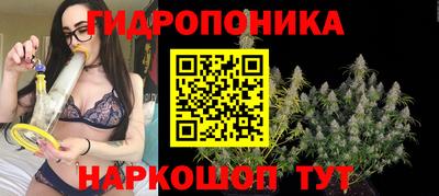 гашиш Дмитров