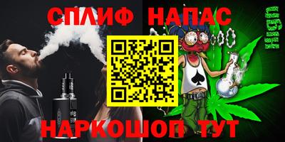 гидра Долгопрудный