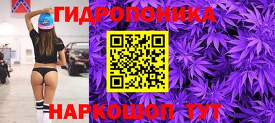 гидра Долгопрудный