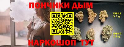 гидра Долгопрудный