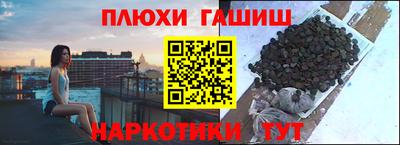 гидра Долгопрудный